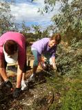 Bush Gardens working crew